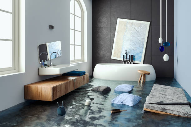 Best Professional water damage repair  in North Patchogue, NY