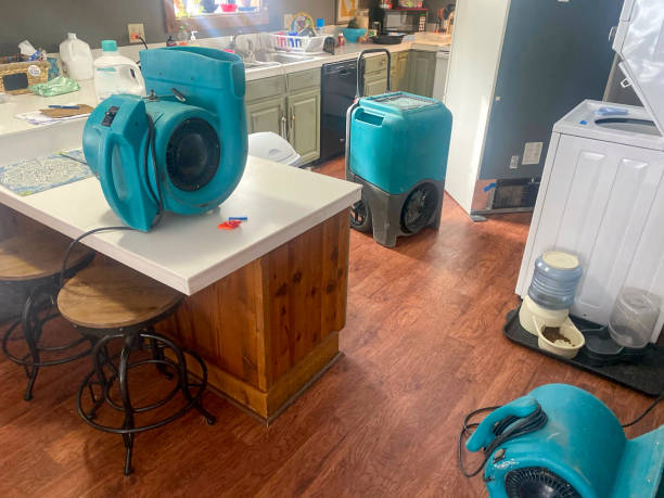 Best Water damage restoration cost  in North Patchogue, NY