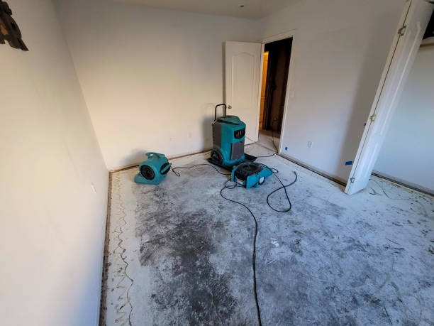 Best Water damage restoration near me  in North Patchogue, NY