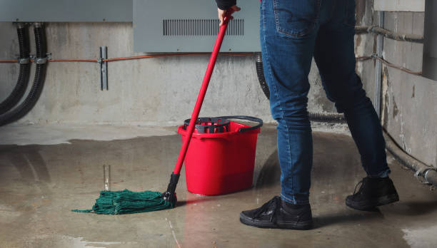  North Patchogue, NY Water damage restoration Pros