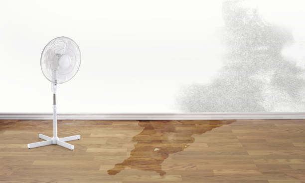 Best Residential water damage restoration  in North Patchogue, NY