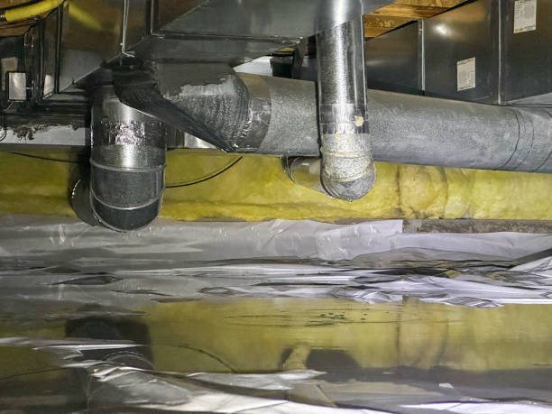 Best Local water damage restoration  in North Patchogue, NY