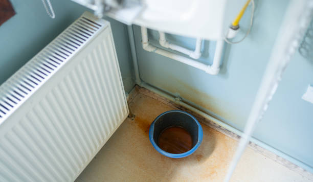 Best Water damage cleanup near me  in North Patchogue, NY