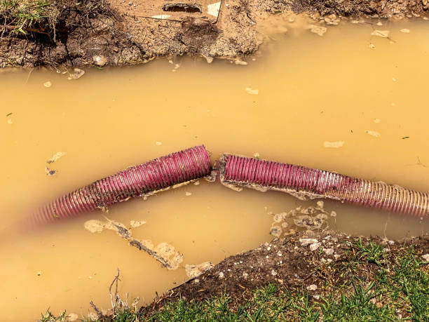 Best 24-hour water damage restoration  in North Patchogue, NY