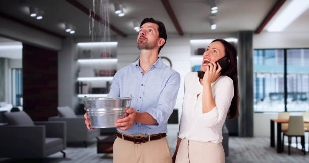 Best Water damage contractors near me  in North Patchogue, NY